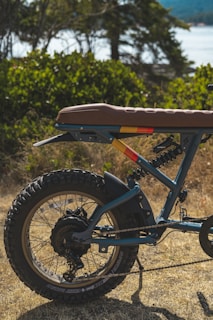 The image captures a close-up view of the rear section of an off-road bicycle, showcasing a sturdy wheel with thick tires, suspension system, and a brown seat. The background features a natural setting with greenery and a body of water, suggesting an outdoor environment.