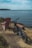A dirt path leads to a picturesque view of the ocean with a blue electric bike parked next to a pink wooden chair. The scene is set against a backdrop of a calm, expansive body of water stretching to the horizon with a strip of land in the distance.
