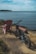 A dirt path leads to a picturesque view of the ocean with a blue electric bike parked next to a pink wooden chair. The scene is set against a backdrop of a calm, expansive body of water stretching to the horizon with a strip of land in the distance.