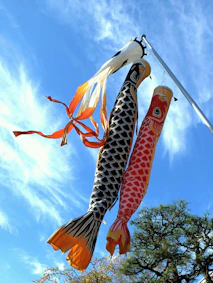 a couple of fish hanging from a pole