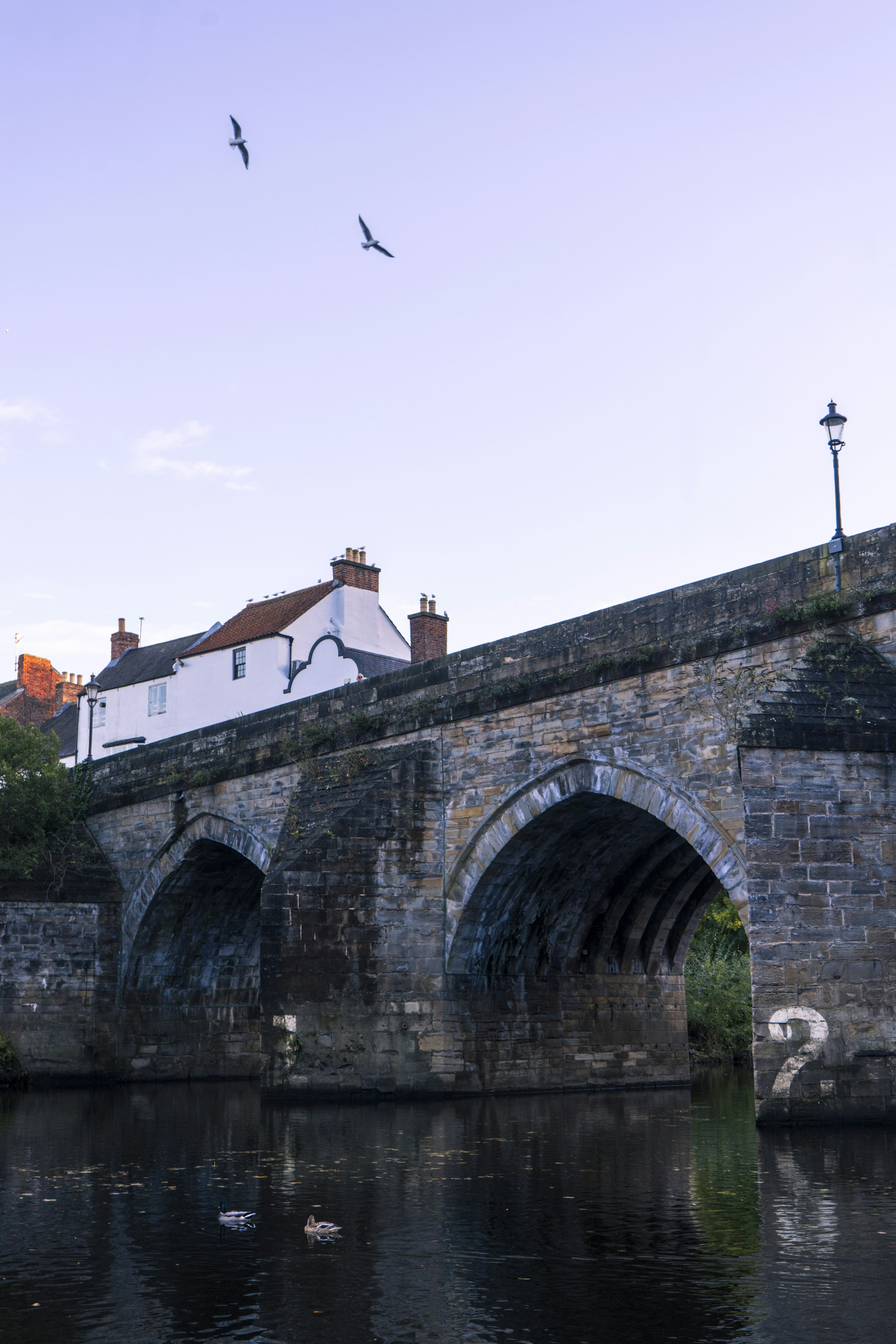 Photo by jeffreyzhang_920