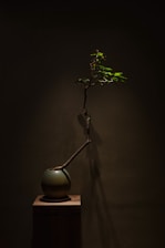 A modern, minimalistic display of airtree's unique gift designs in translucent matte blue.