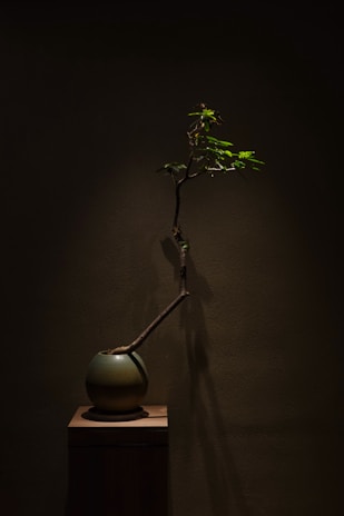 A modern, minimalistic display of airtree's unique gift designs in translucent matte blue.
