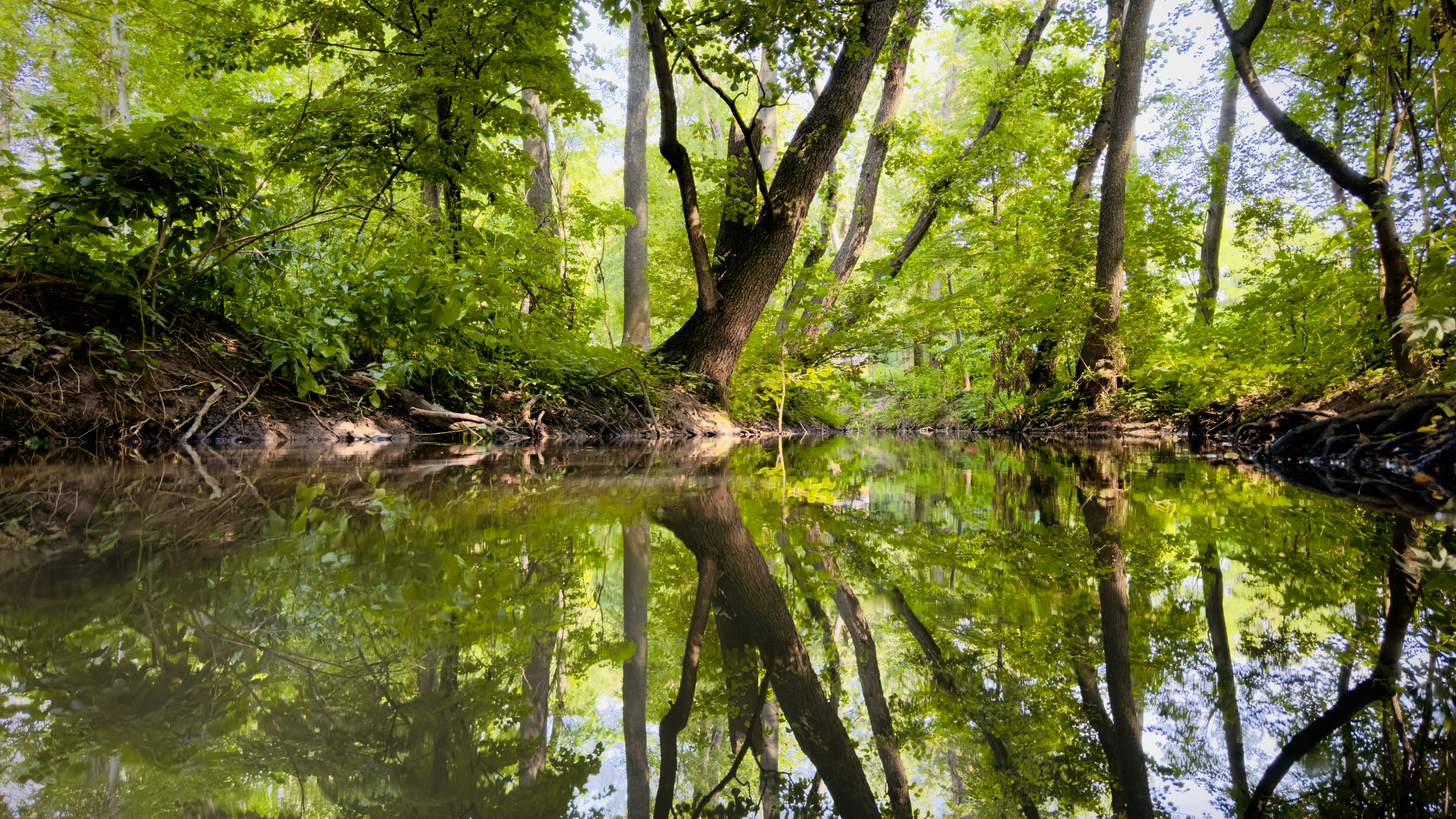 Photo by digitalgeek_01