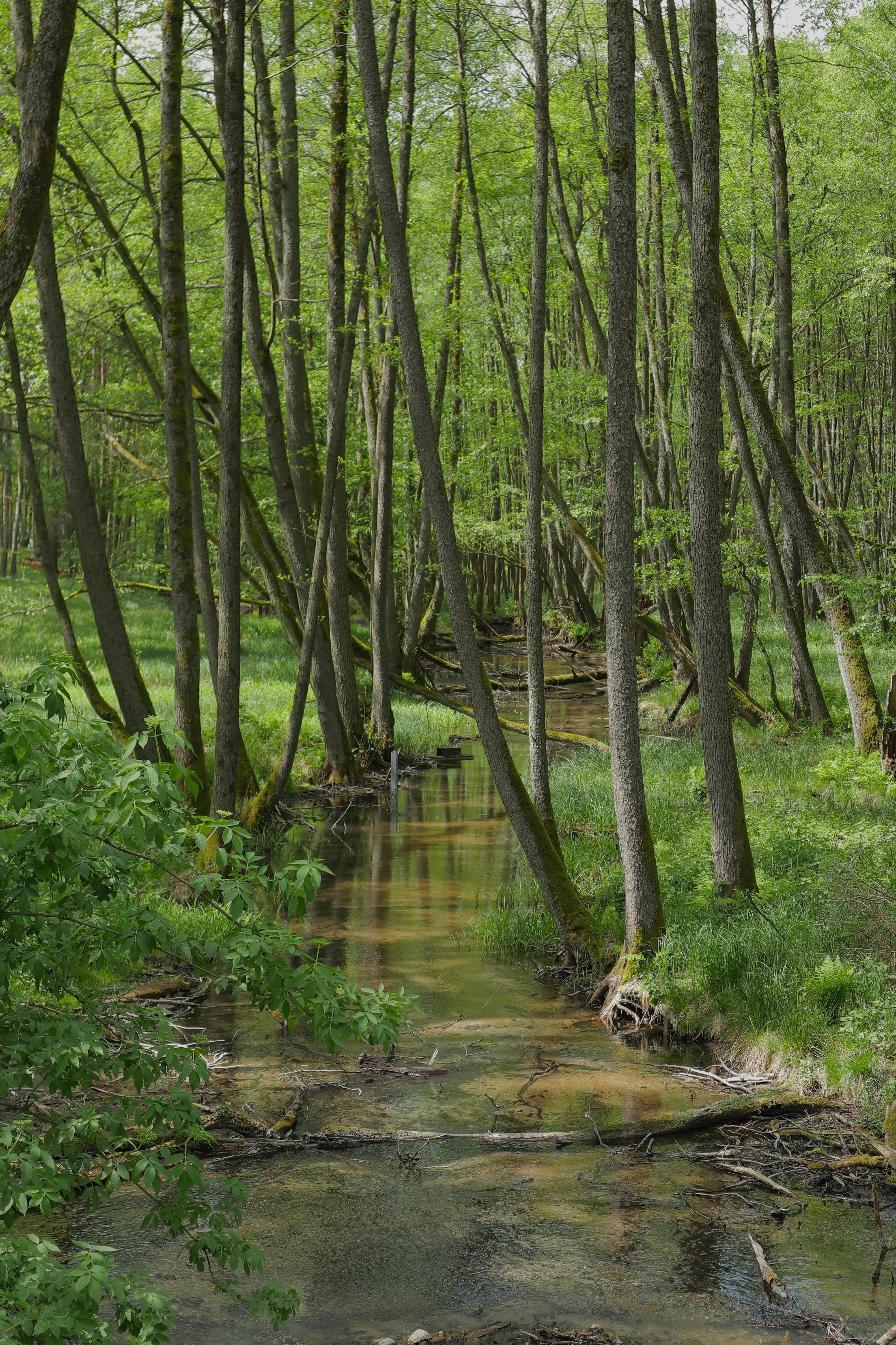 Photo by bram_wouters