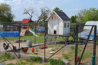 a chicken coop with a chicken in it