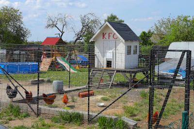 a chicken coop with a chicken in it