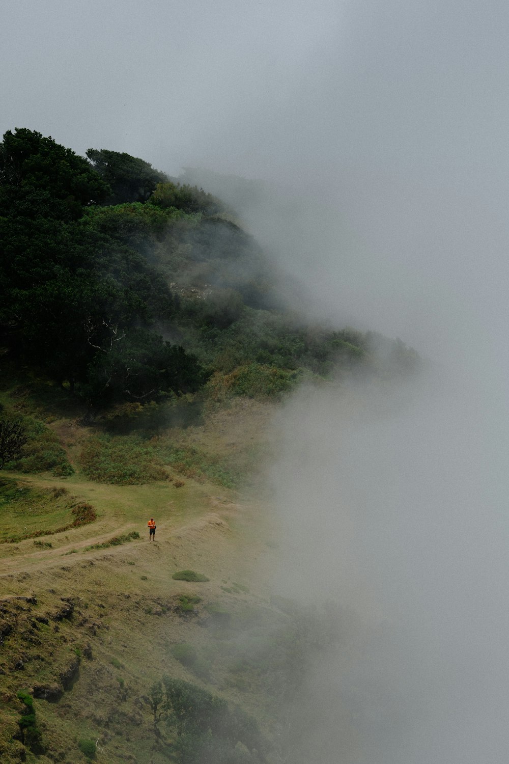 a person walking up a hill on a foggy day