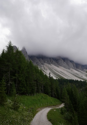 A winding dirt path leads through a lush forest of evergreen trees, with steep mountain slopes partially obscured by thick clouds. The dense greenery contrasts with the gray and white tones of the rocky mountain surface.
