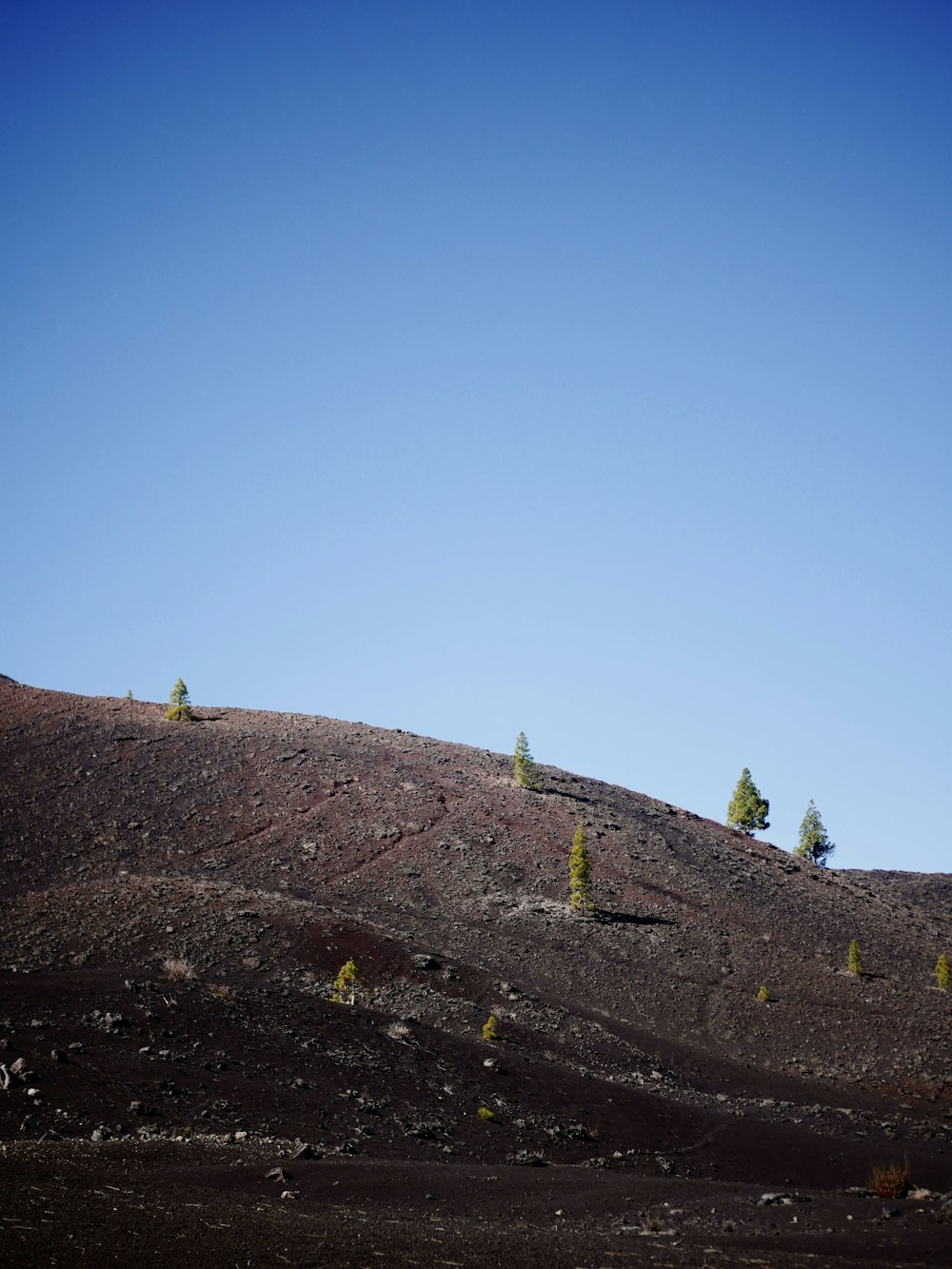 a hill with trees on top of it