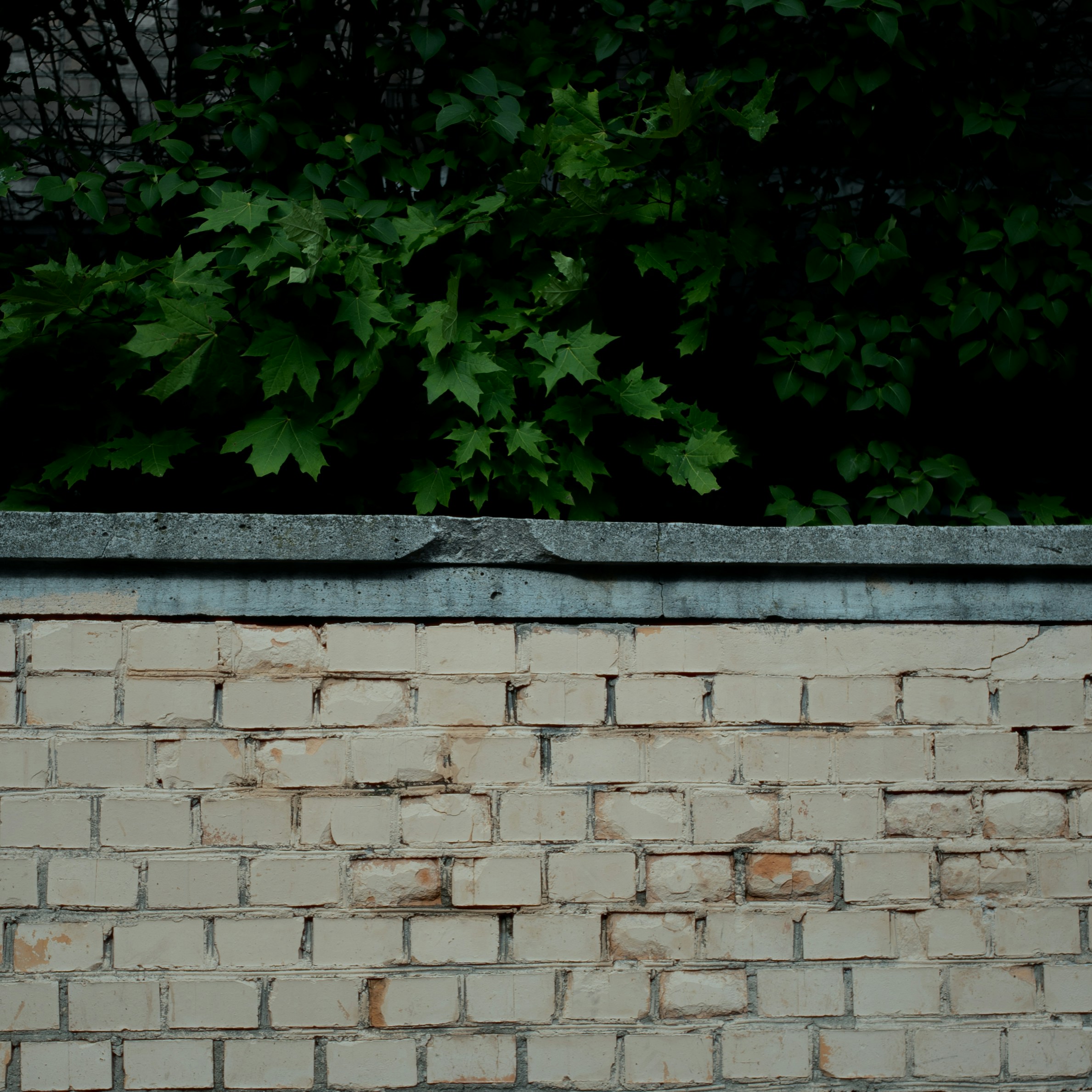 Photo by evil_bumblebee