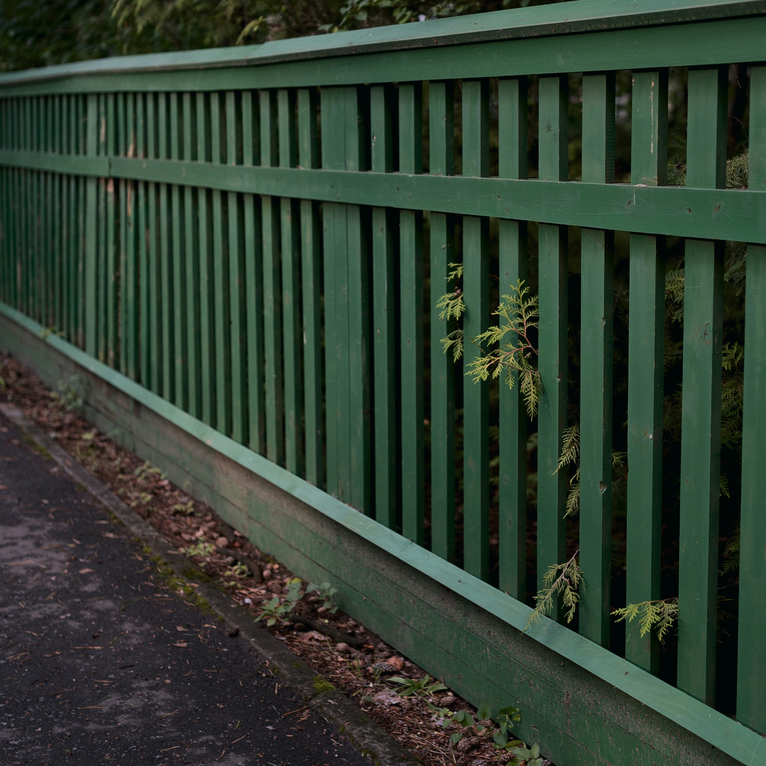 Photo by evil_bumblebee