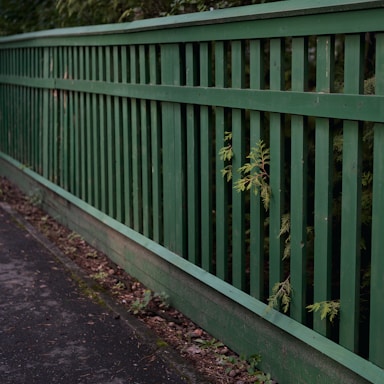 A wooden fence painted in green runs alongside a paved pathway. The vertical slats of the fence allow some greenery to poke through, adding a natural touch to the man-made structure. The pathway appears slightly worn with scattered leaves and debris.