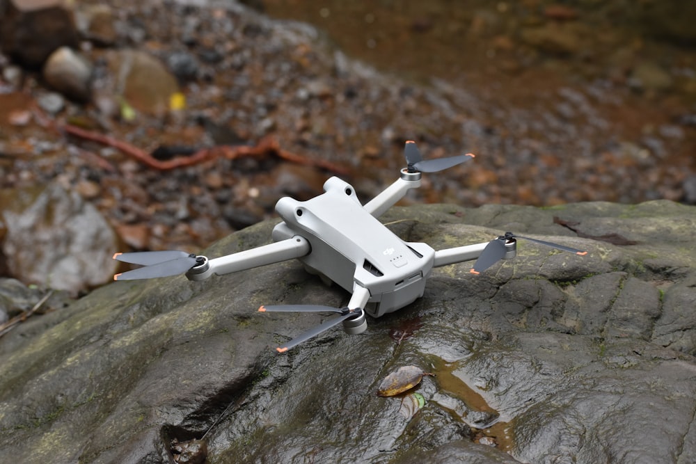 a small white object sitting on top of a rock