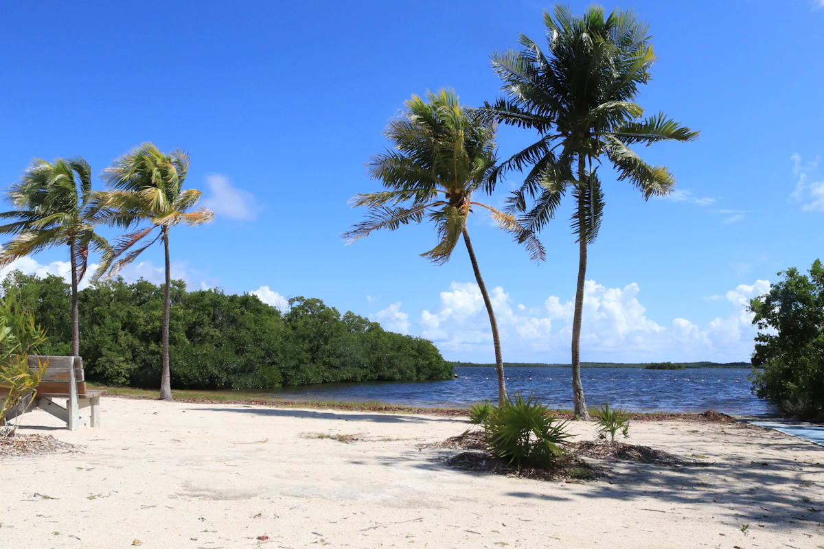 UnitedHealthcare Medicare Plans in Florida for 2026: What to Check Before You Pick