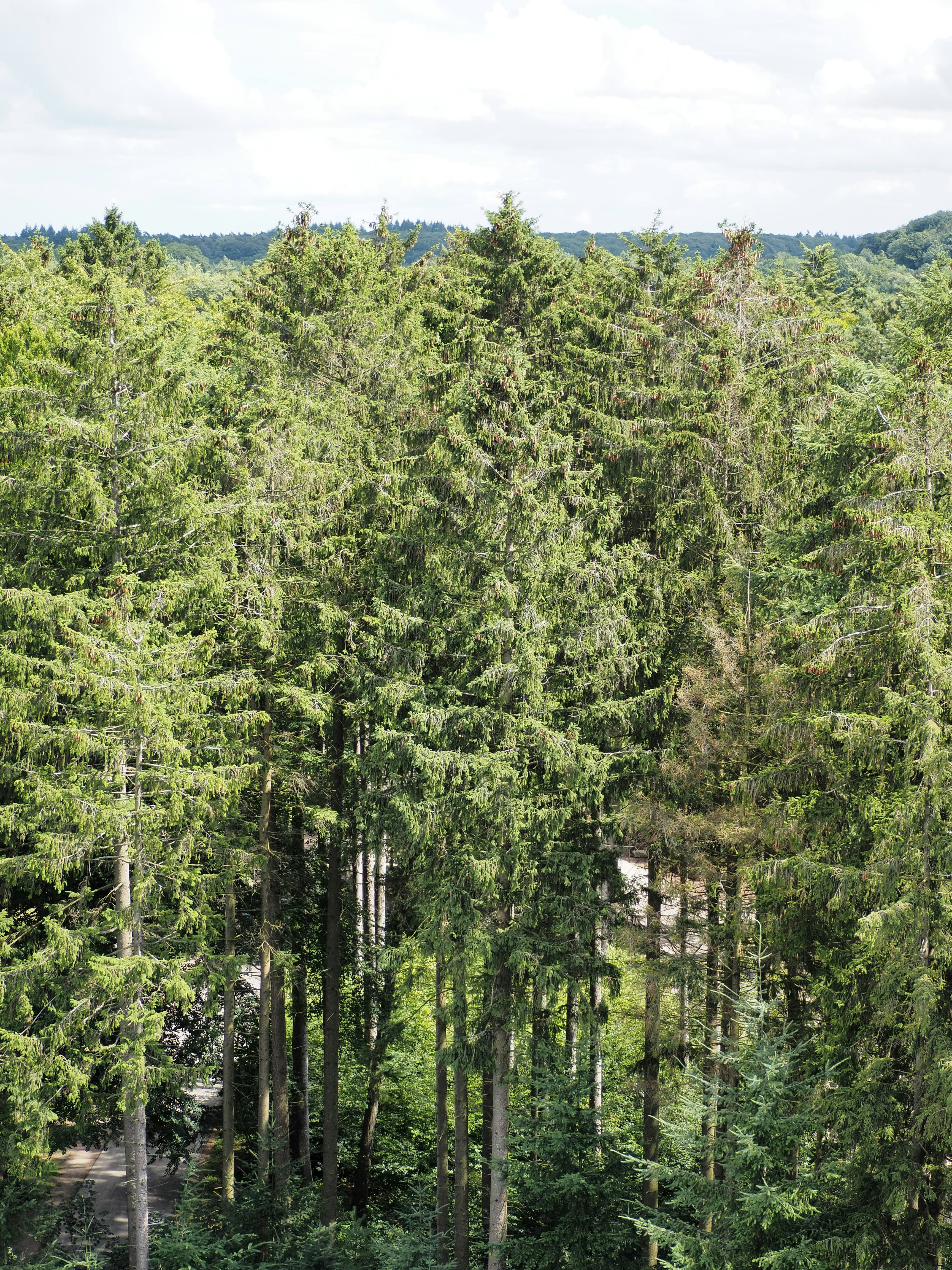 Photo by behnazyosofi