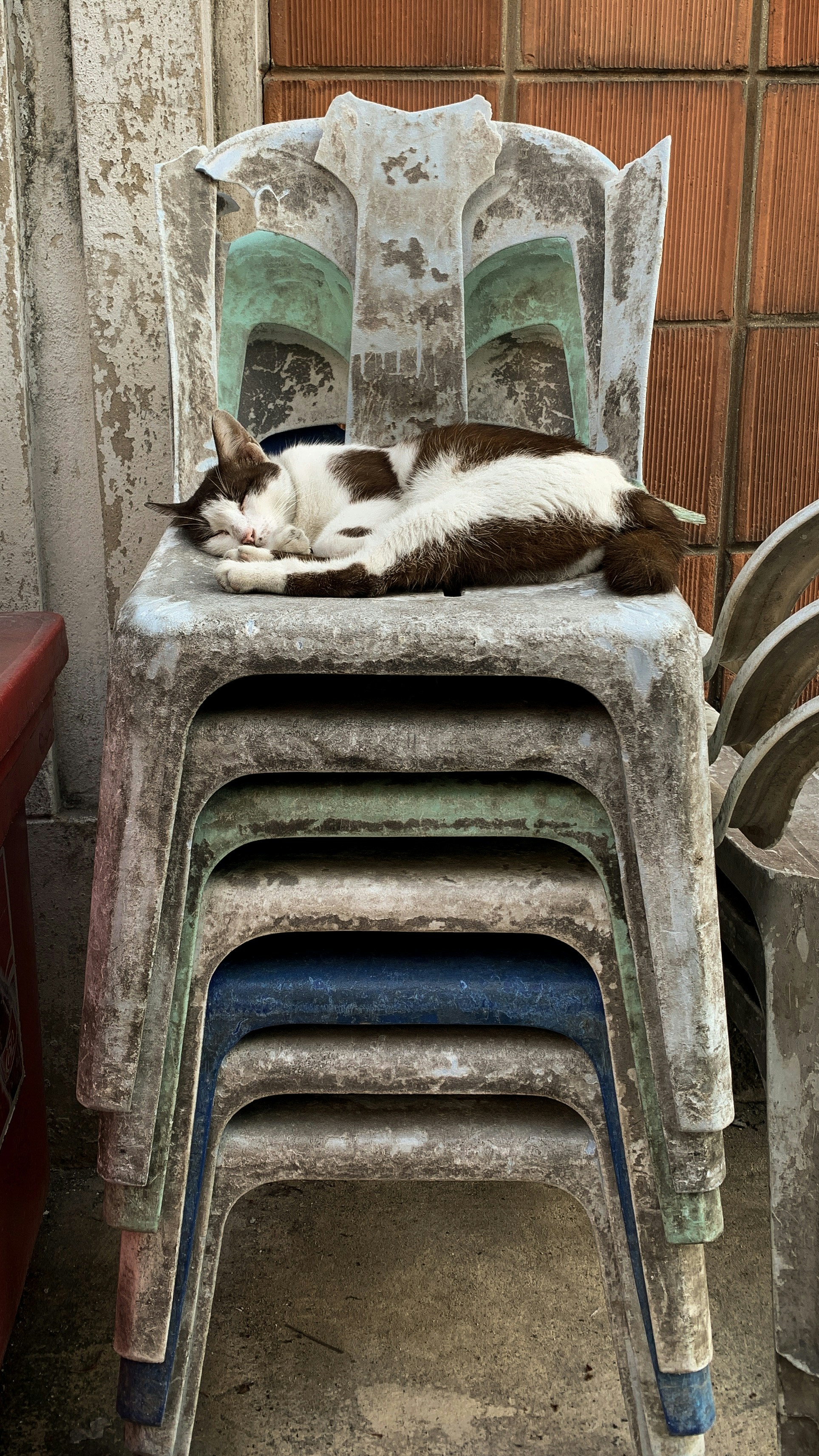 un chat allongé sur une pile de chaises