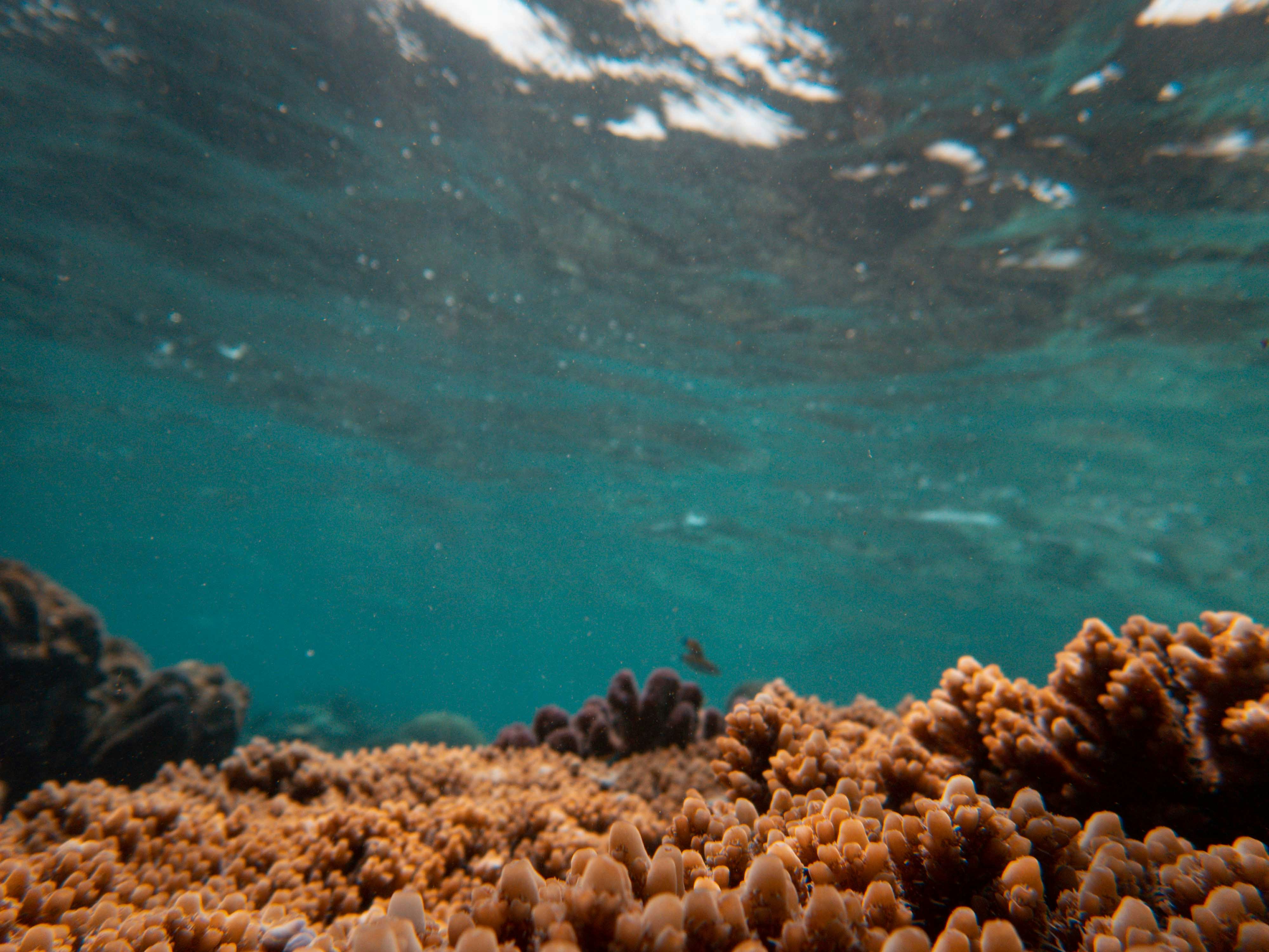 Photo by francesco_ungaro