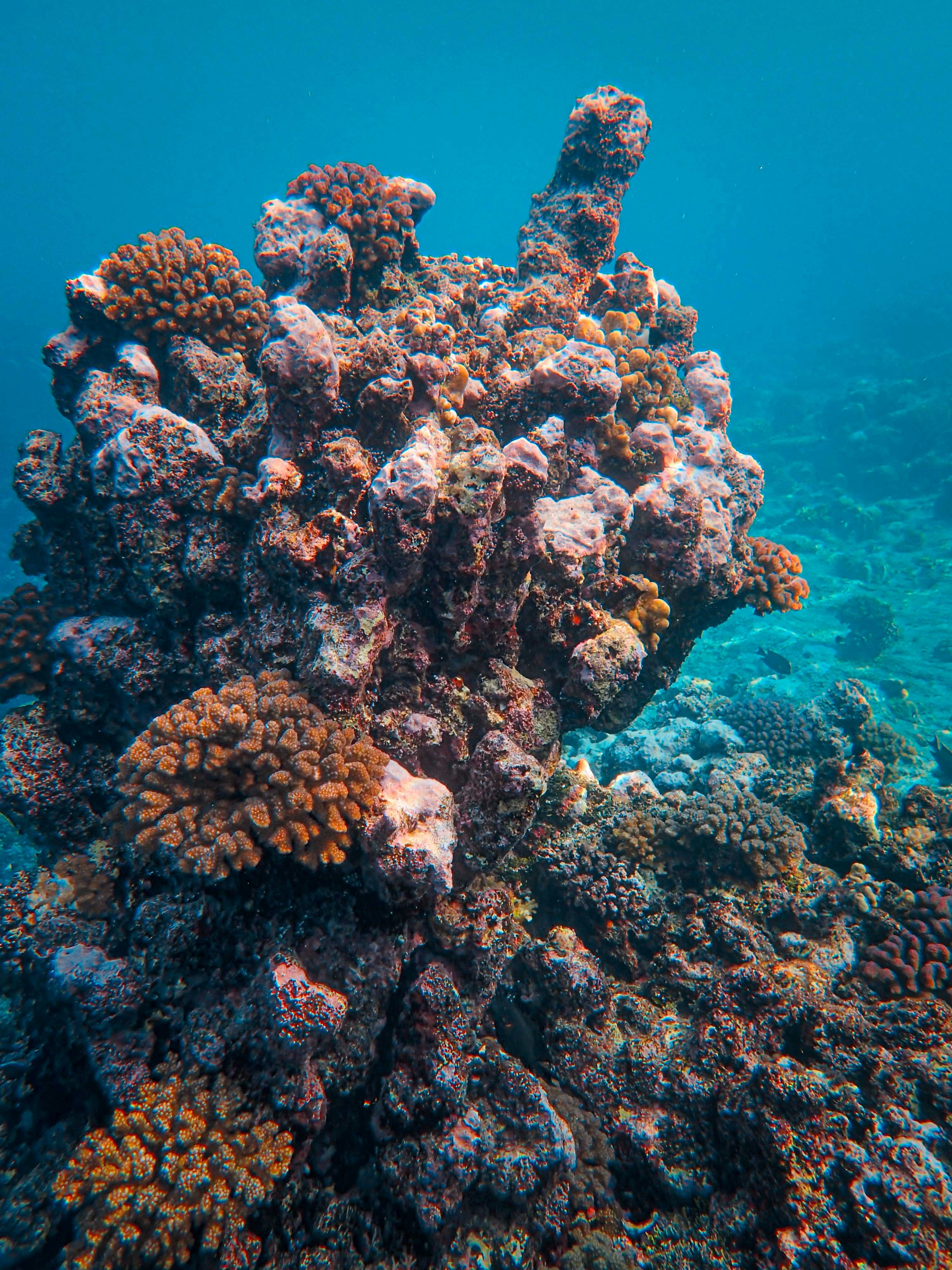 Photo by francesco_ungaro