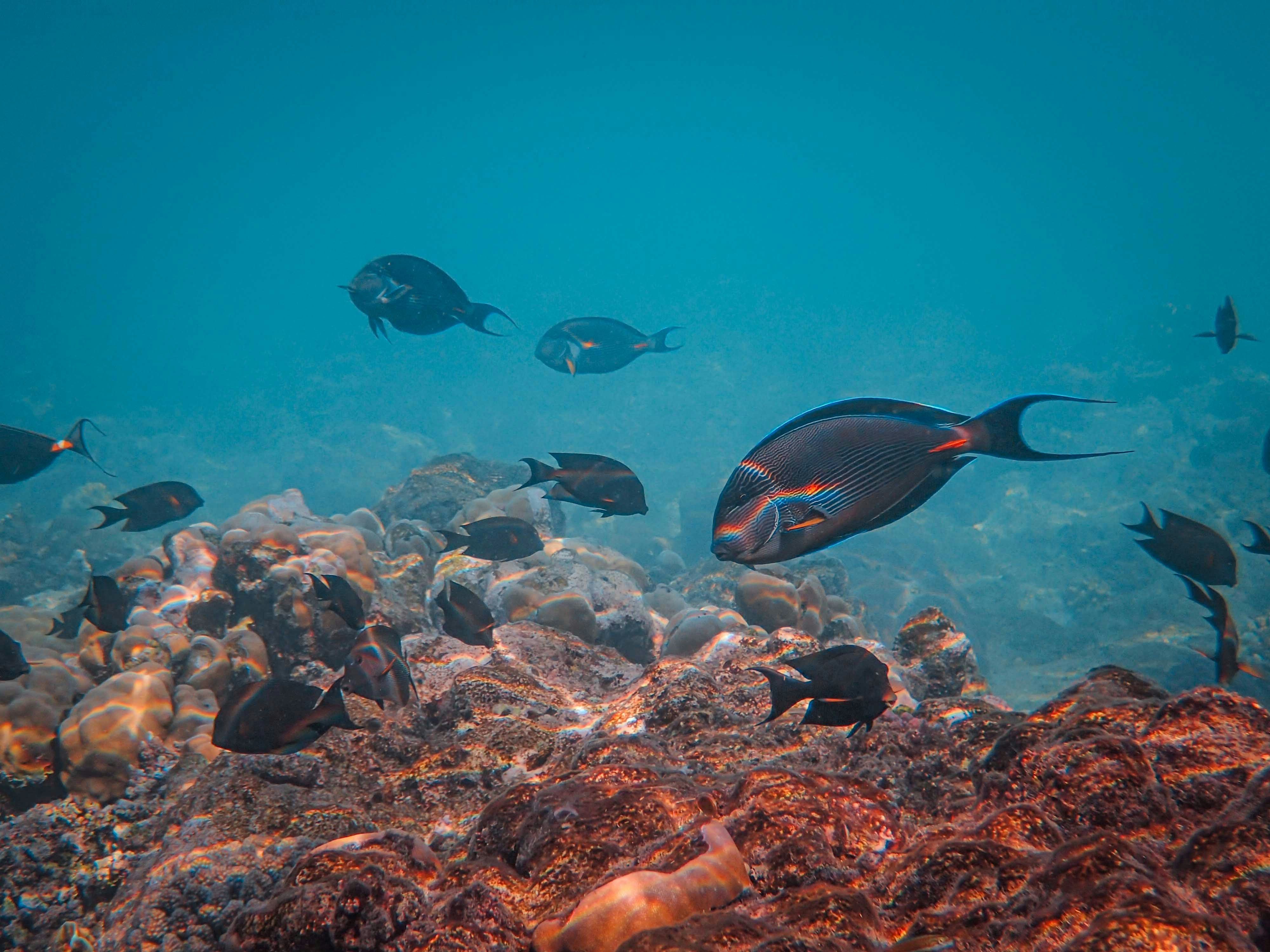 Photo by francesco_ungaro