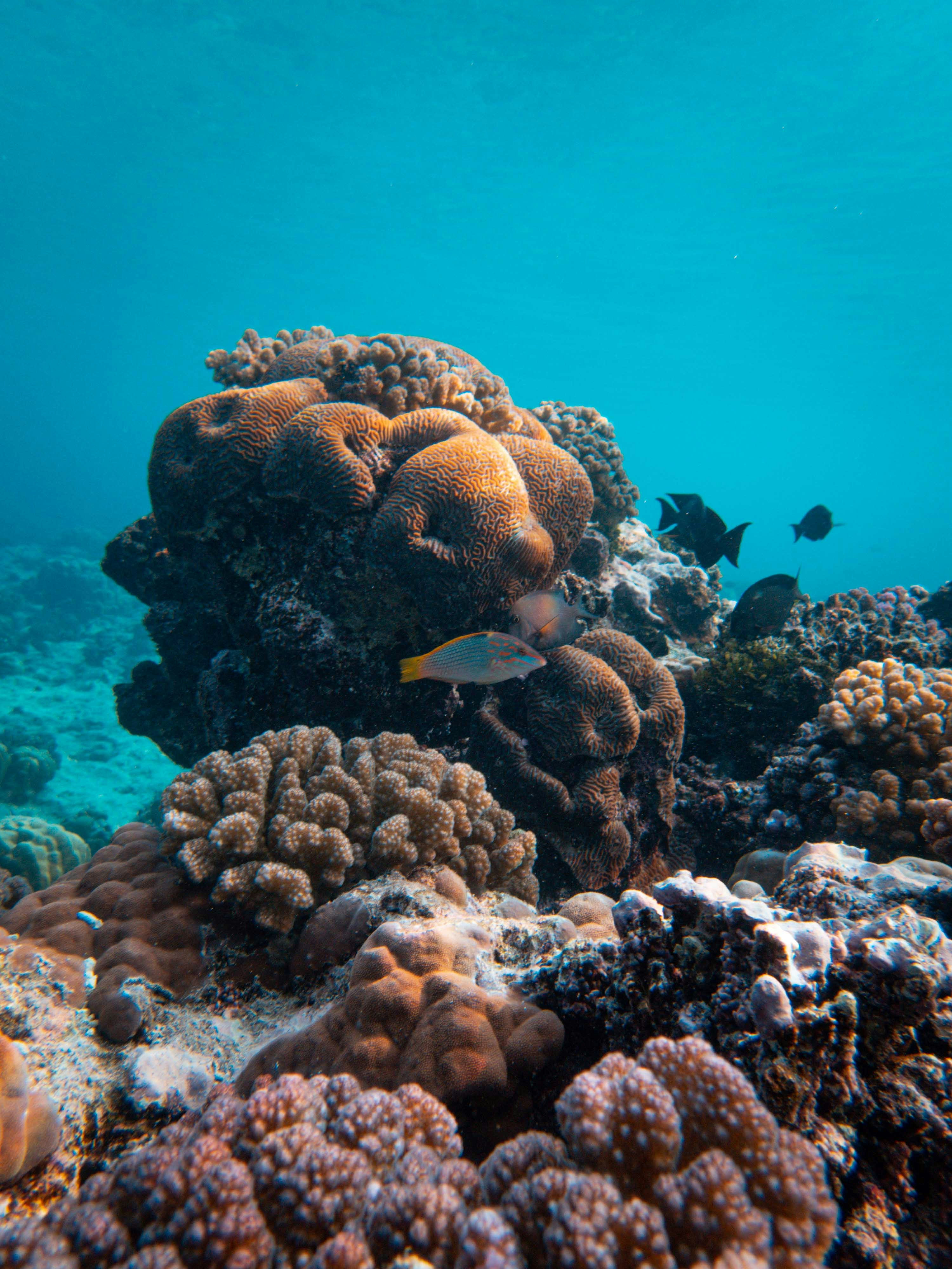 Imagen de unsplash de Francesco Ungaro