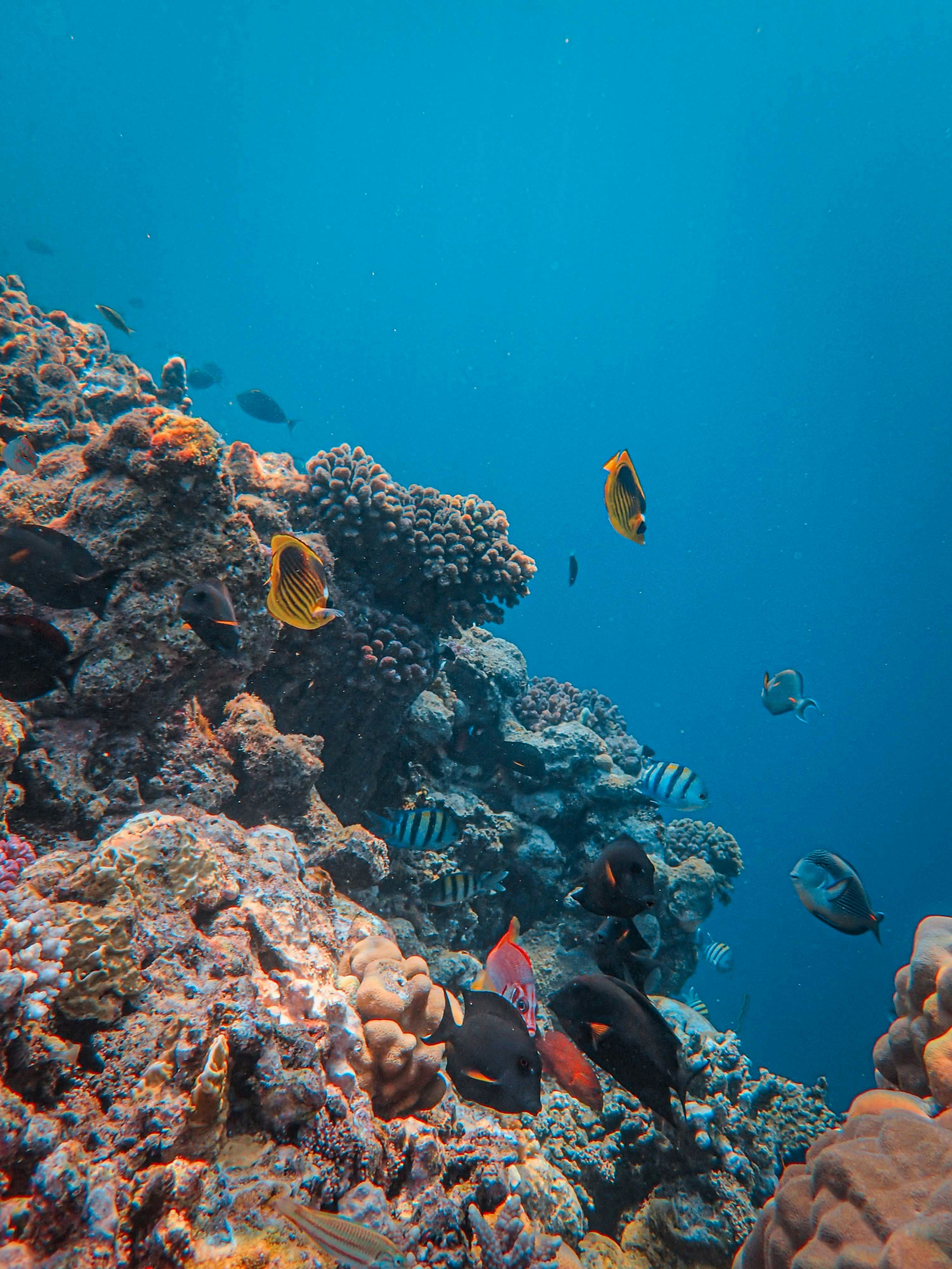 Photo by francesco_ungaro