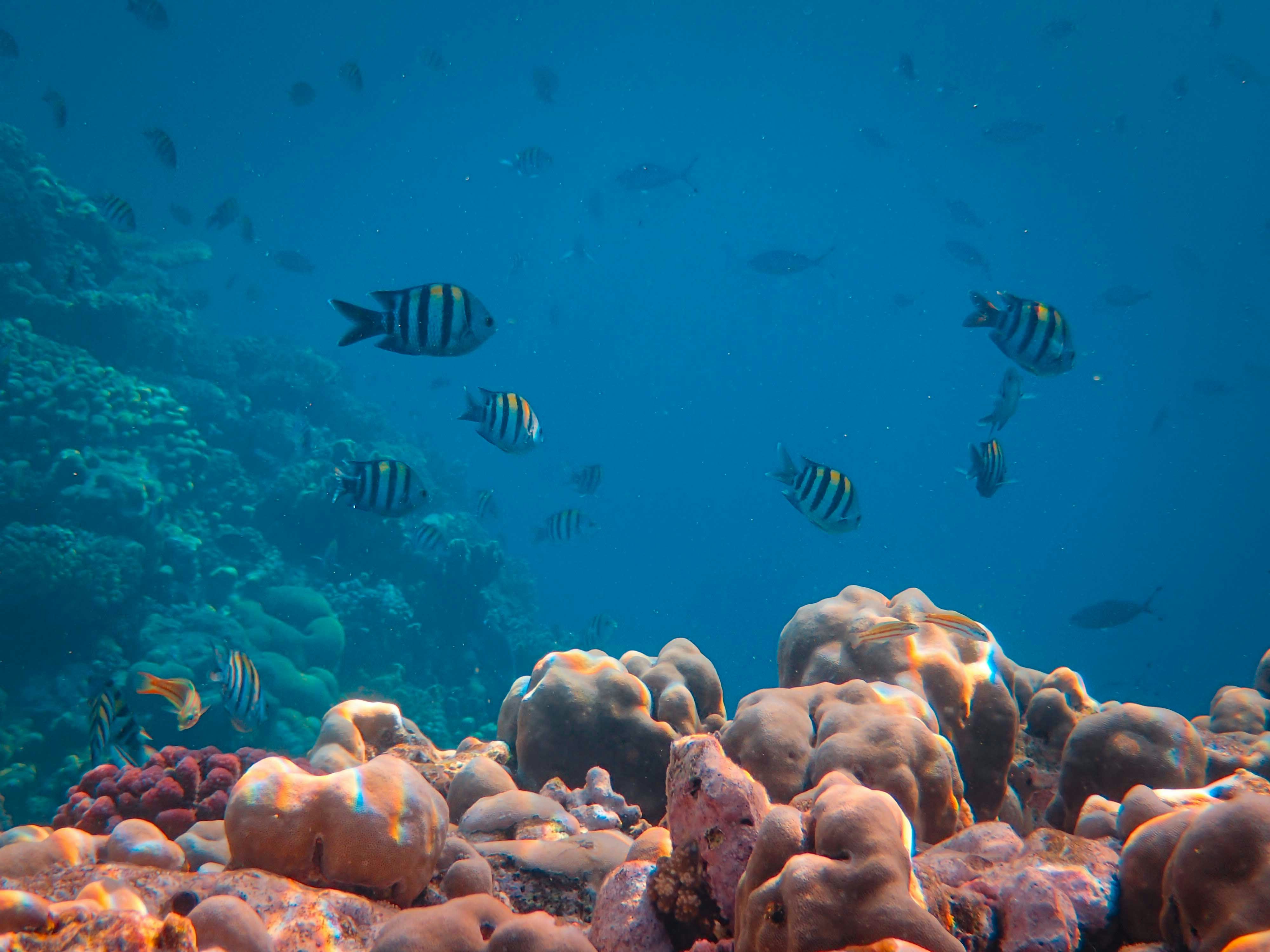 Photo by francesco_ungaro