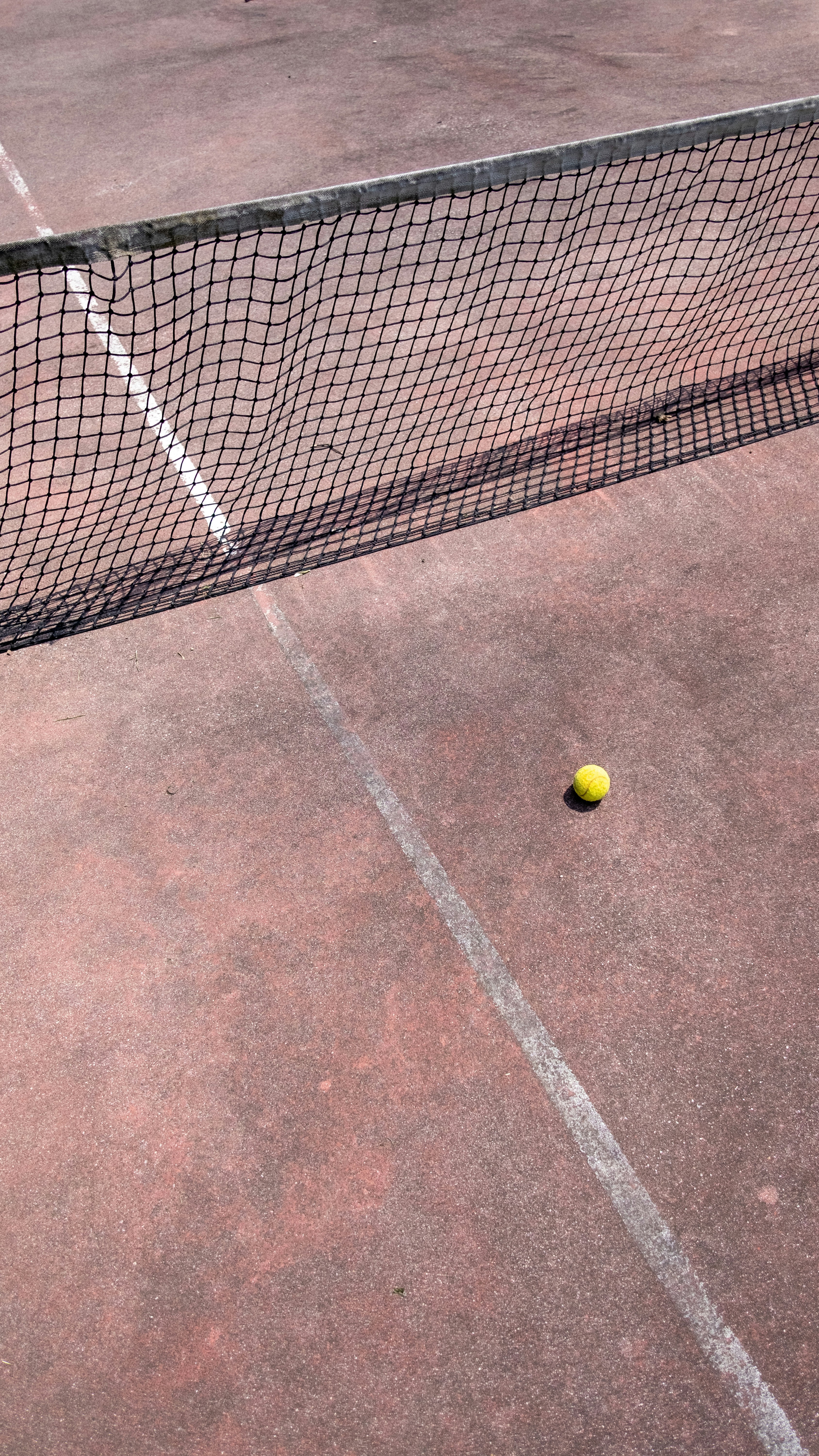 a tennis ball is on the tennis court