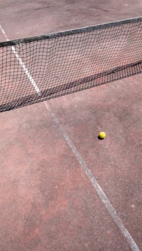 A tennis court with a net stretching across the middle and a yellow tennis ball resting near the net on the clay surface. The court lines are faintly visible, and the ground appears to have a reddish-brown tone.