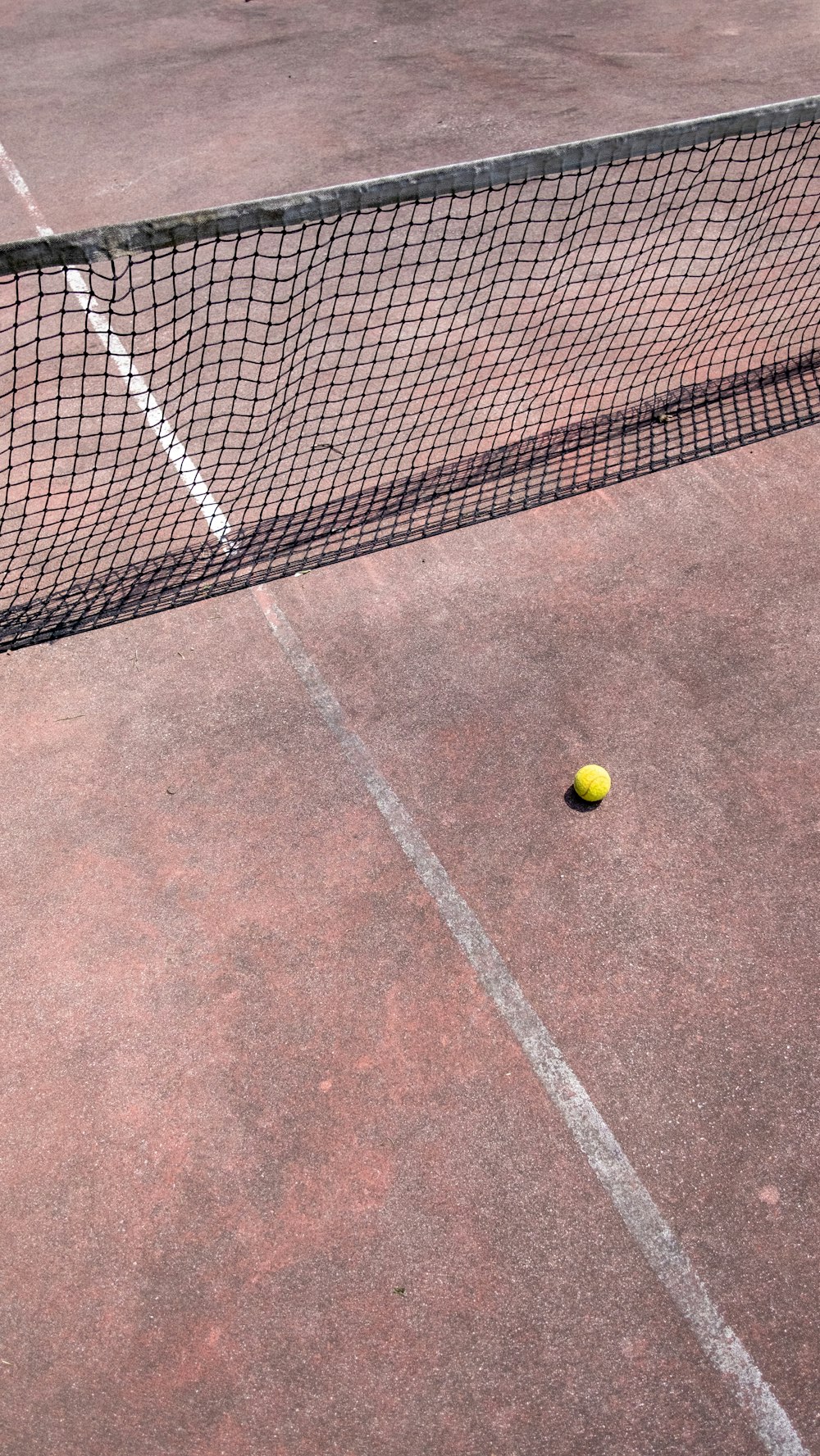 a tennis ball is on the tennis court