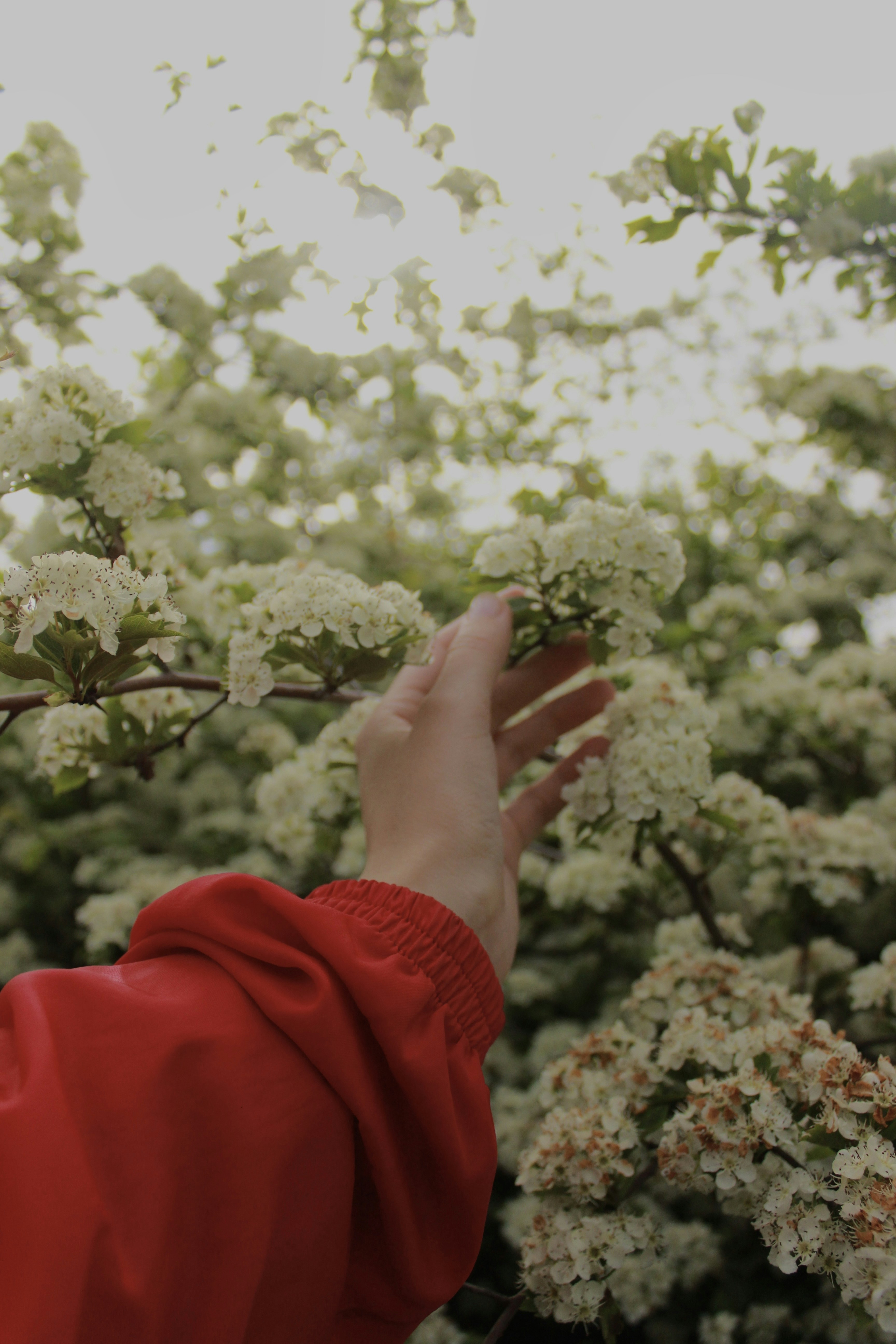 Photo by tanyalisova