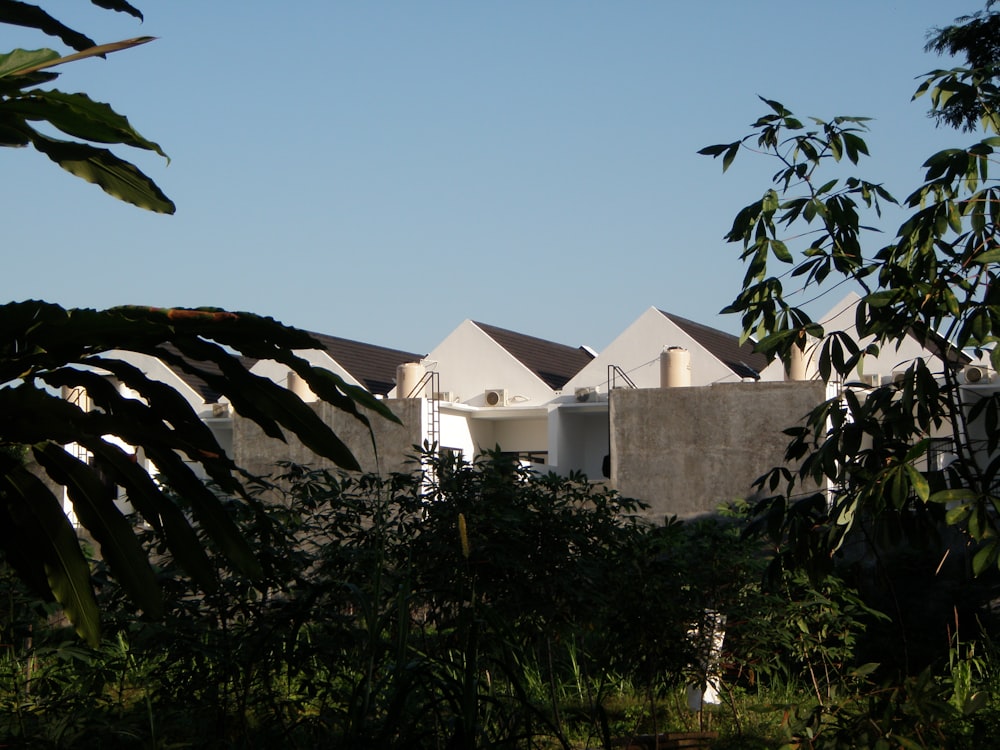 a view of a house through some trees