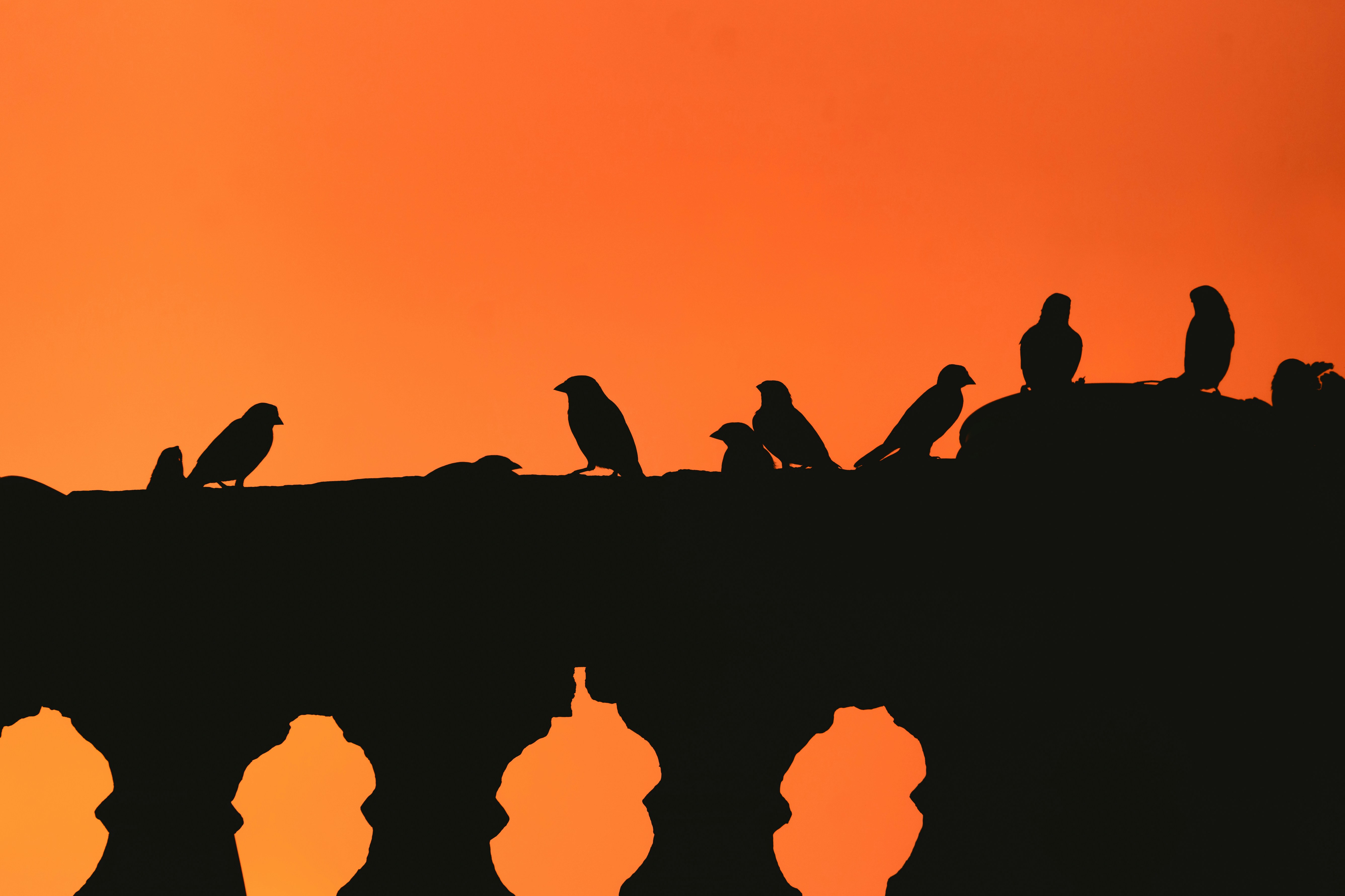 a flock of birds sitting on top of a bridge