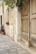 A rustic doorway with a wooden door and stone walls under a branch of green leaves. A red and white cat sits on the stone step in front of the door. The cobblestone path extends alongside the building adorned with a couple of potted plants.