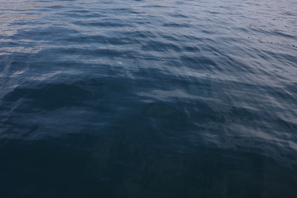 a body of water with a boat in the distance