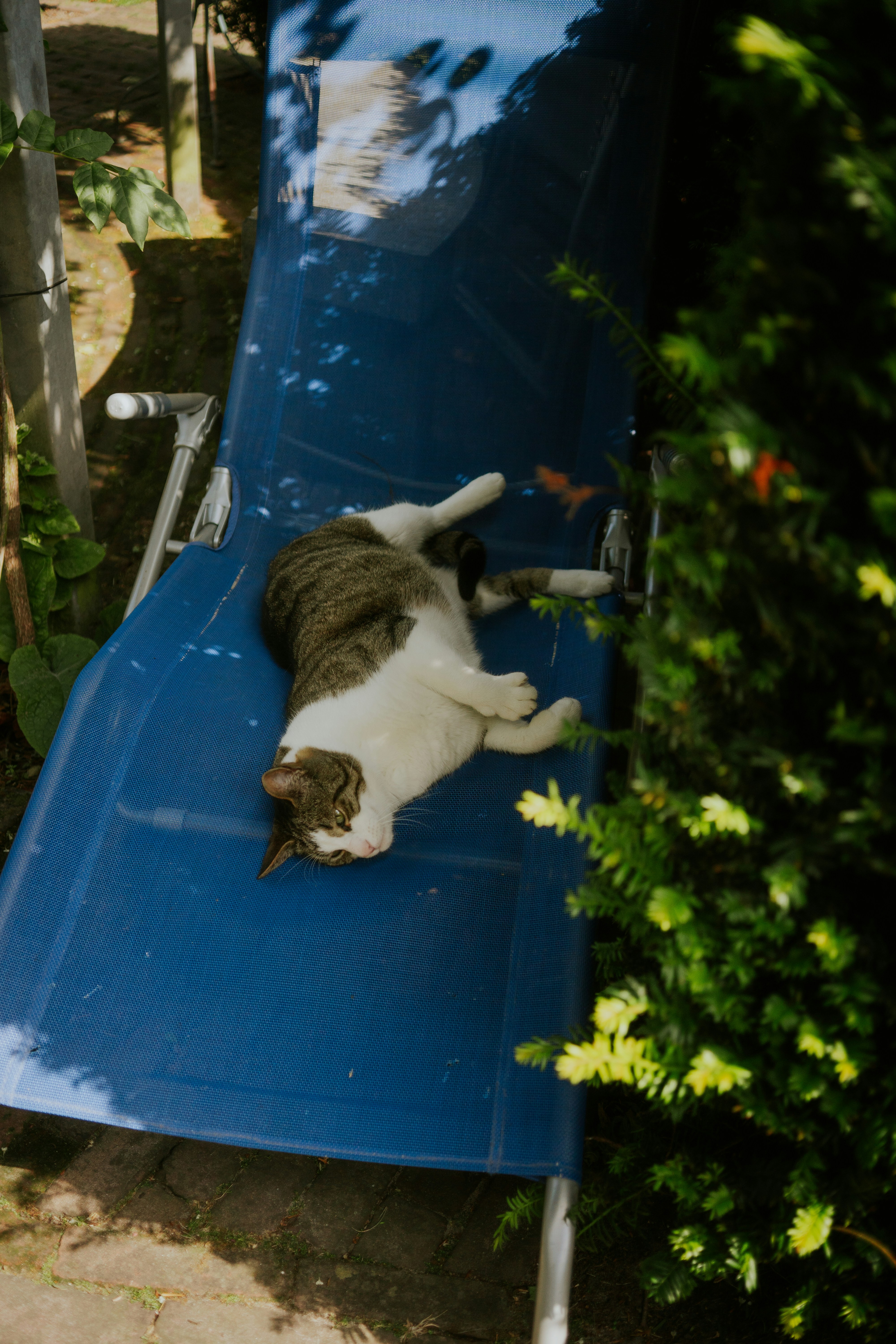 Finding the Perfect Temperature (image credits: unsplash)