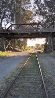 A set of railroad tracks stretch into the distance beneath a wooden bridge, flanked by gravel paths and tall trees. Sunlight filters through the trees, casting a serene glow over the scene.