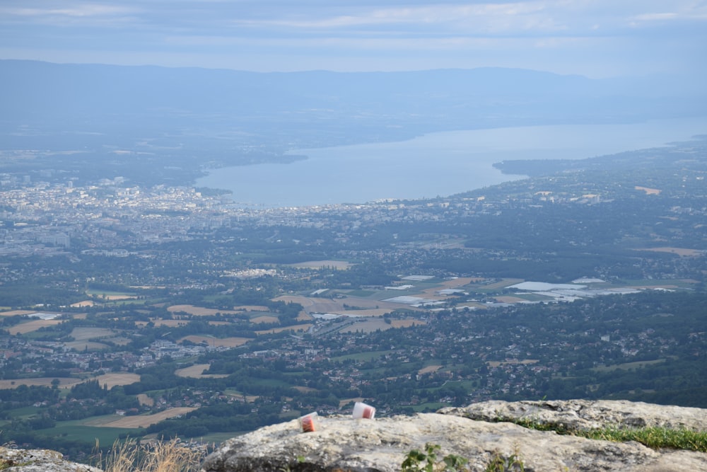 a view of a large body of water from a hill