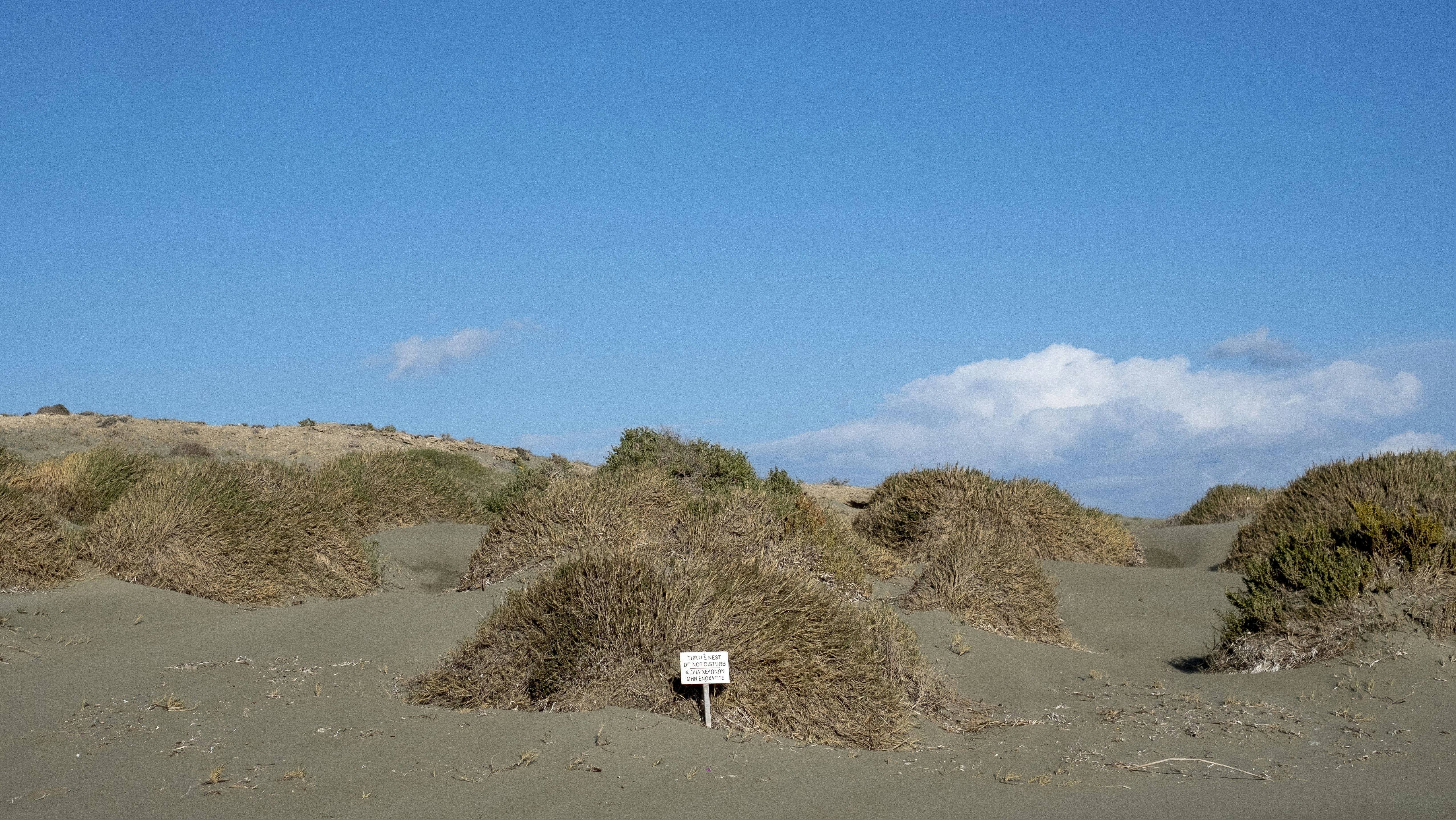 A sign in the middle of sand dunes