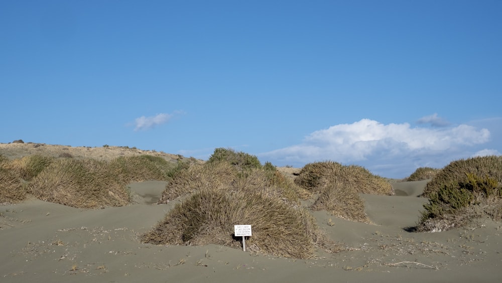 a sign in the middle of sand dunes