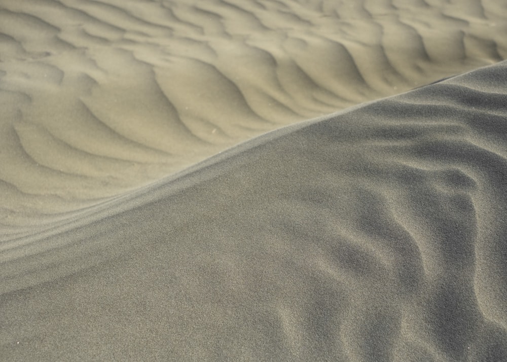 a sandy area with a few trees in the background