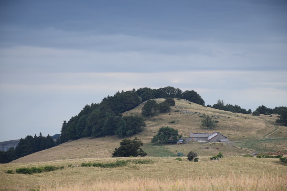 une grande colline avec une maison au sommet