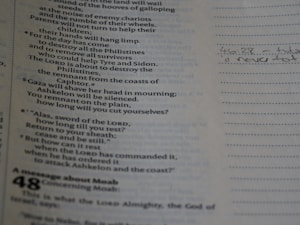 Prophecy Insight Book