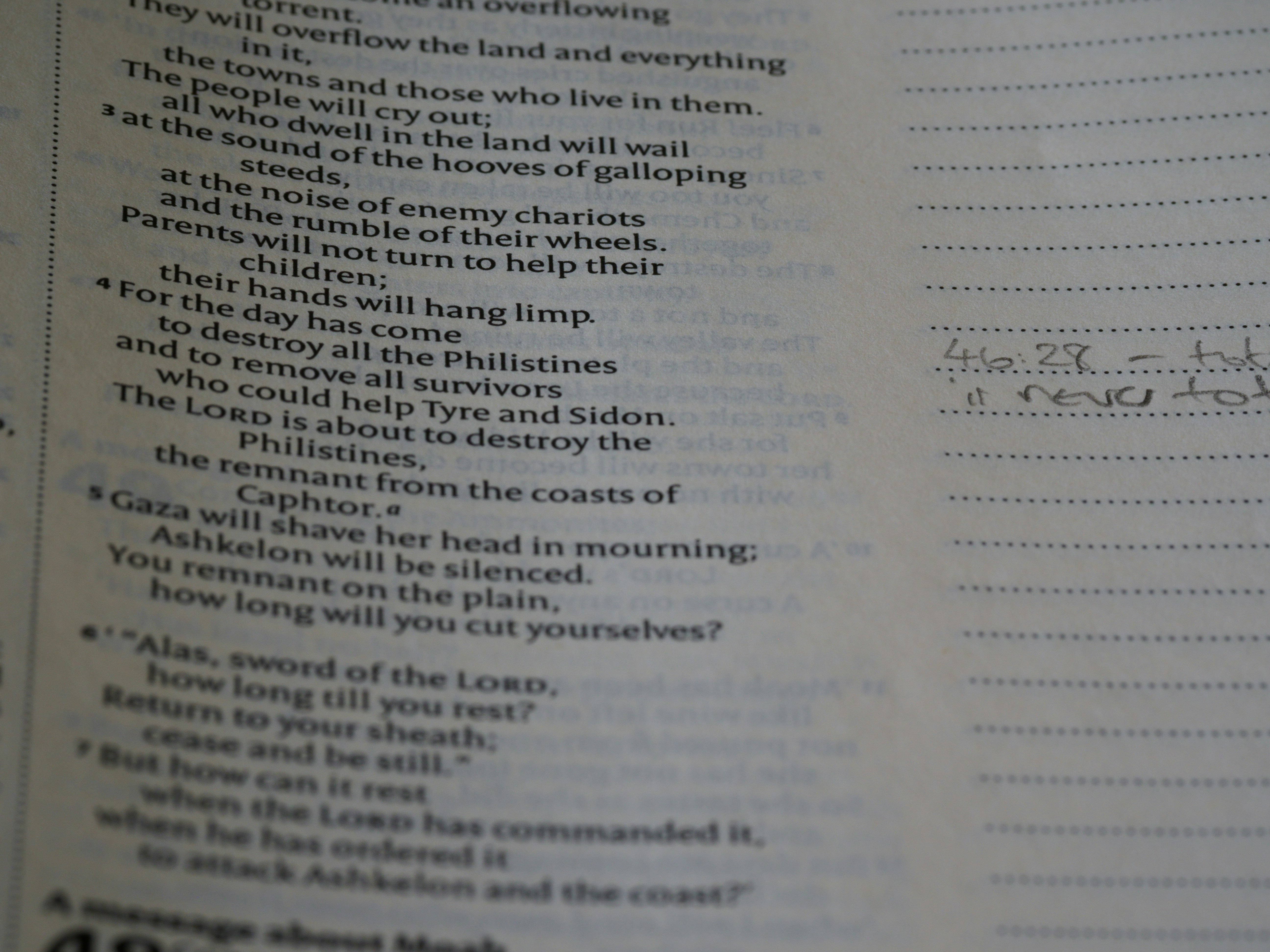 signed copy of the storm