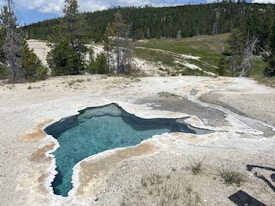 A small hot spring with clear turquoise water surrounded by a mineral deposit edge. Vegetation, including grass and trees, is visible beyond the spring, extending into a lush forest area under a partly cloudy sky.