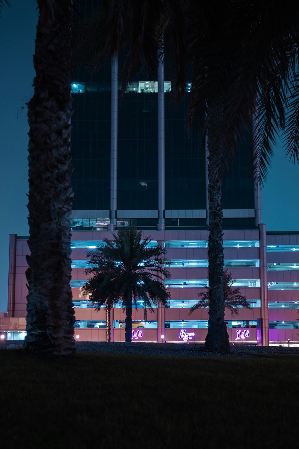 palm trees in front of a building at night