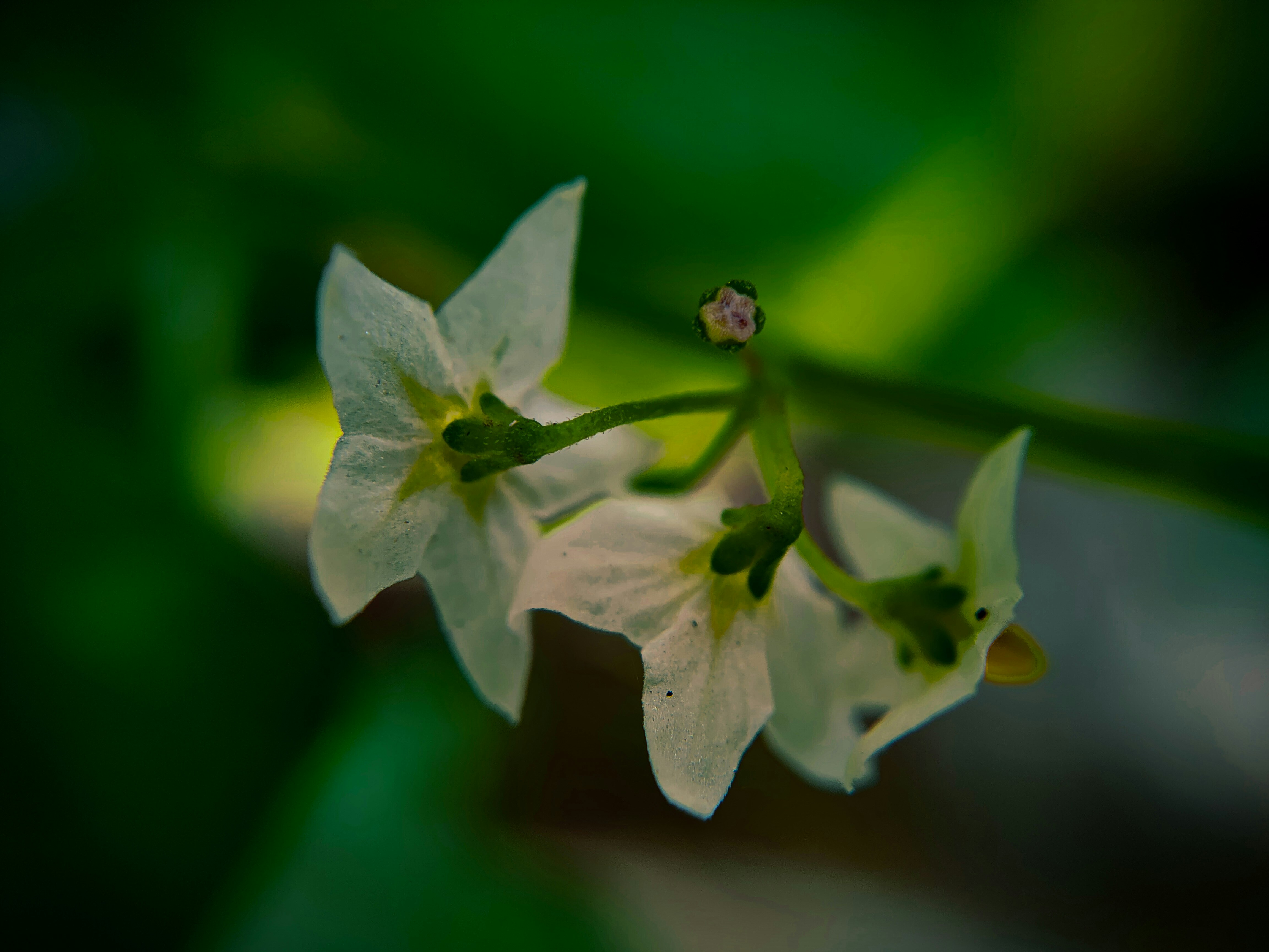 Photo by sujaypaulsp