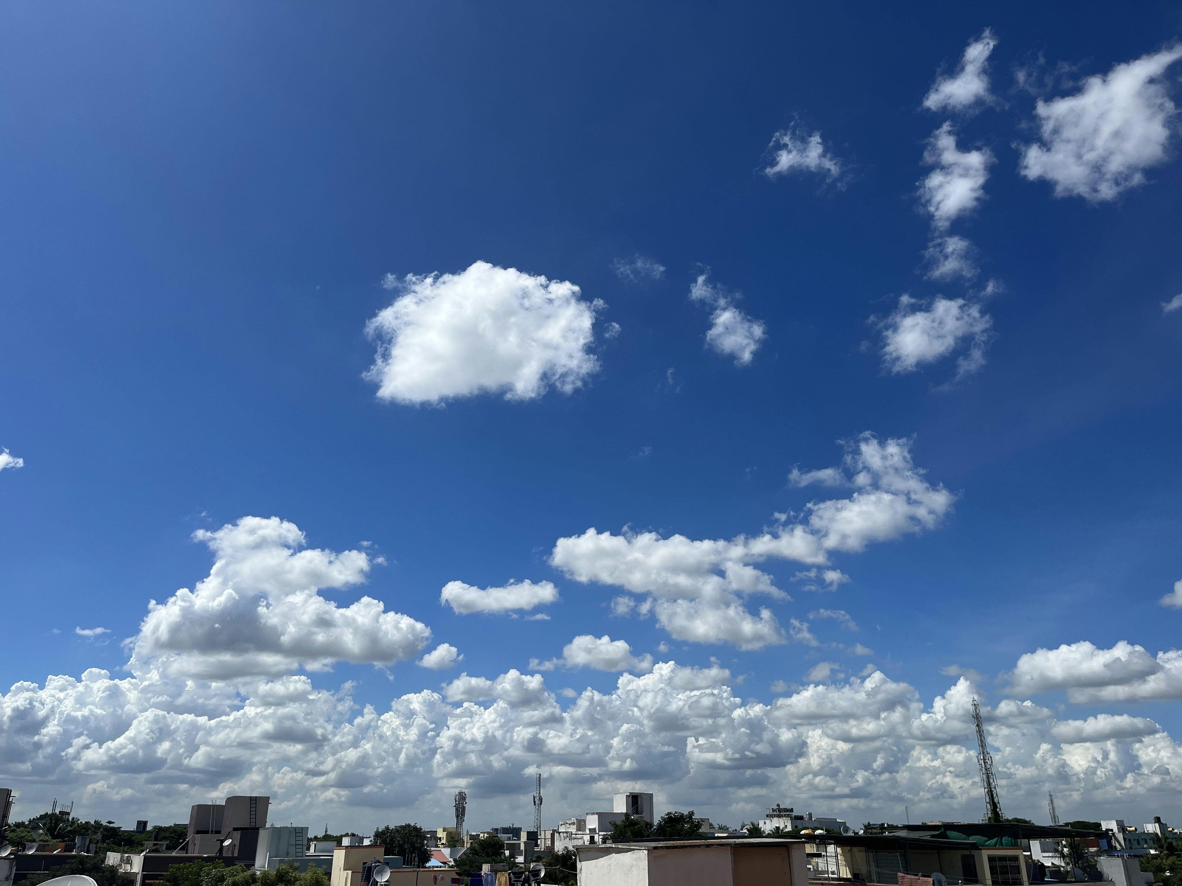 Photo by x_phoenix0706_x