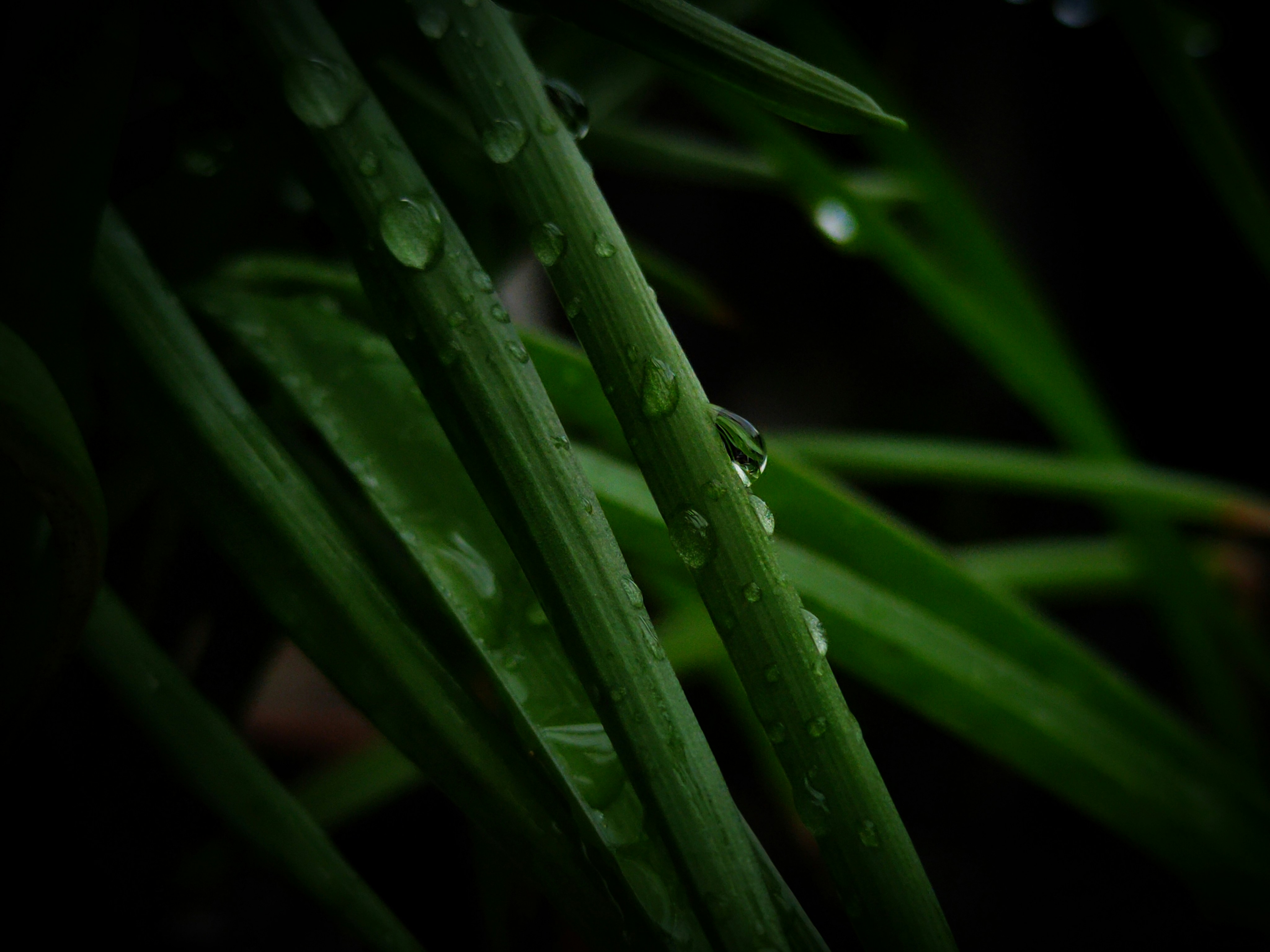 Photo by sujaypaulsp