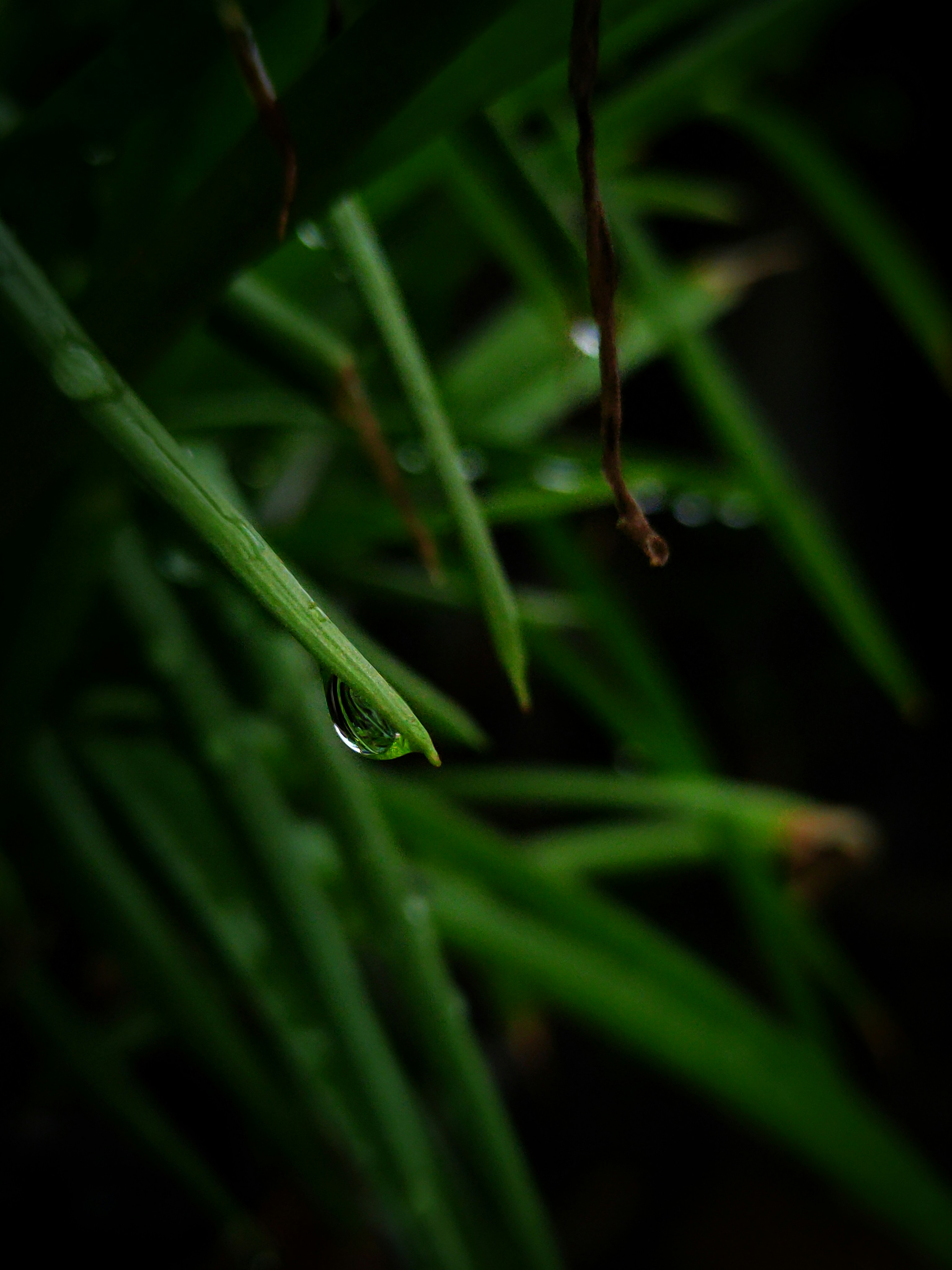 Photo by sujaypaulsp